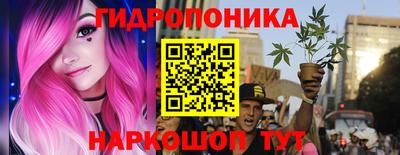 Альфа ПВП Малгобек