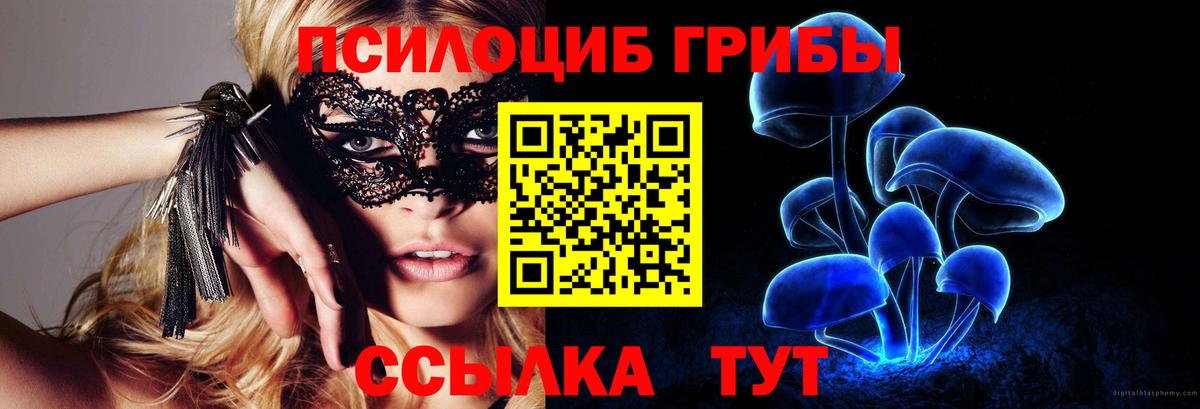 Псилоцибиновые грибы MAGIC MUSHROOMS Домодедово